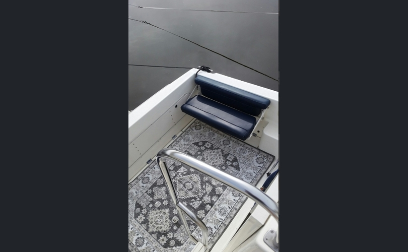 Bayliner 288 Discovery-kuva-13